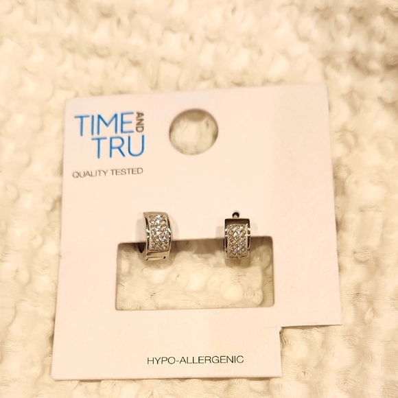 Time And Tru Hypo-Allergenic Hoop Earnings - Picture 1 of 5